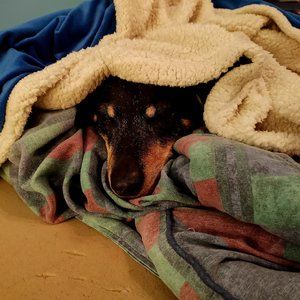 HEY CAN YOU SEE WHAT MY MOM IS LISTING?